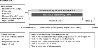 hermes novo nordisk|HERMES: Effects Of Ziltivekimab Versus Placebo On Morbidity .